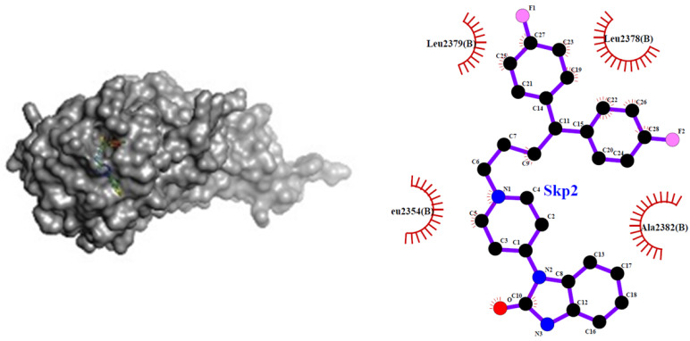 Figure 11