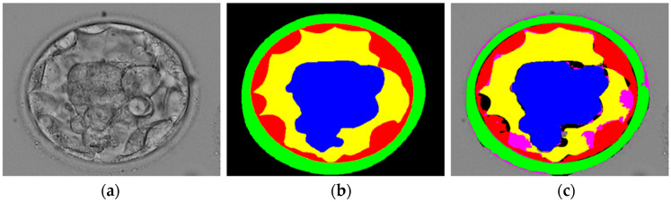 Figure 8