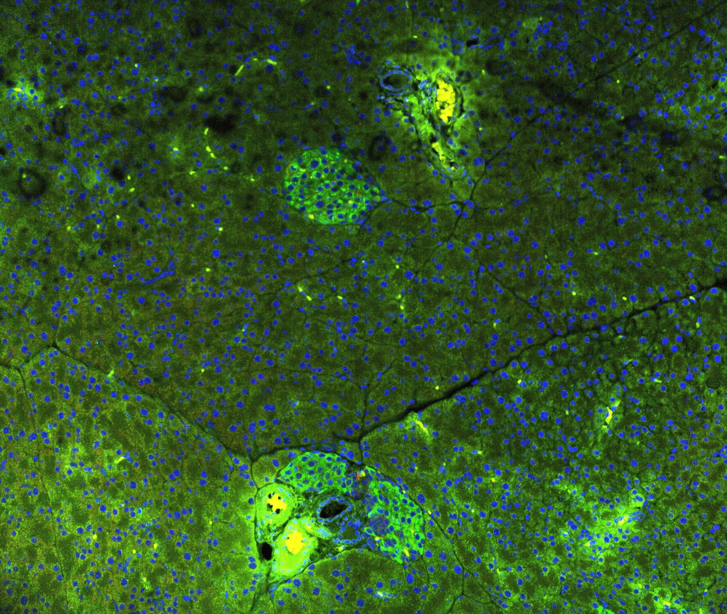 Figure 14
