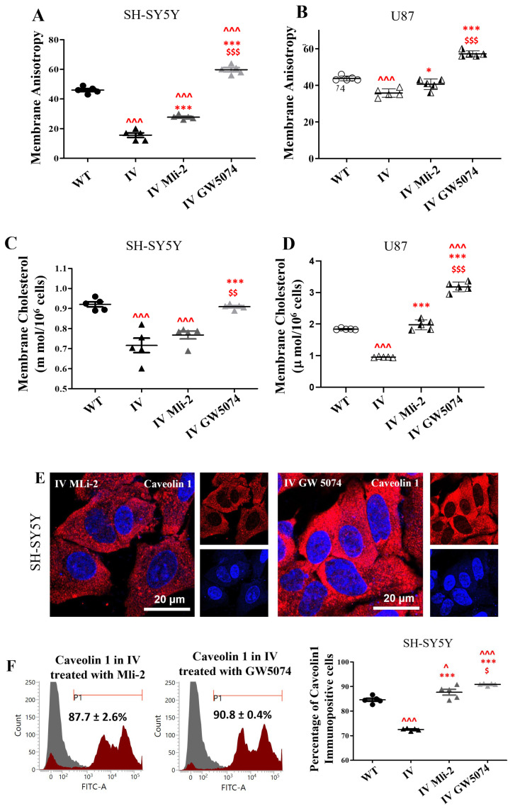 Figure 17