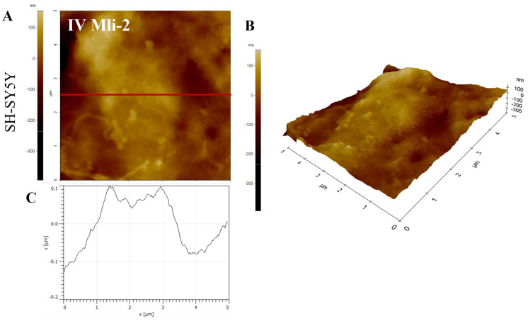 Figure 19