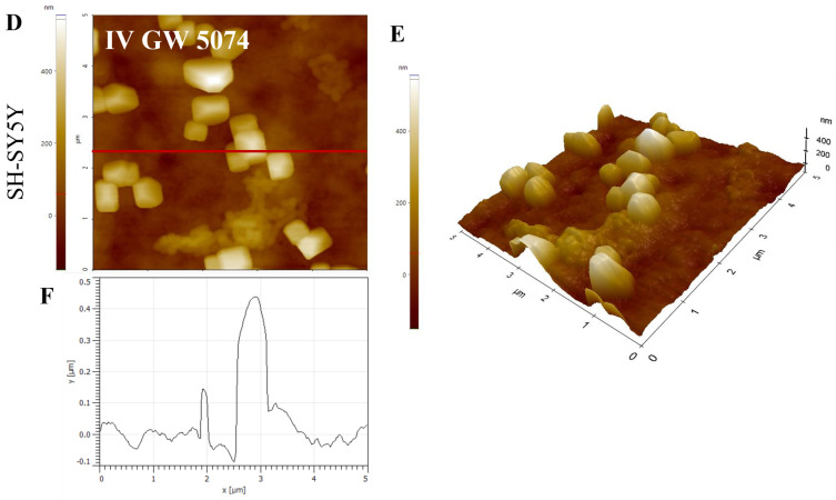 Figure 20