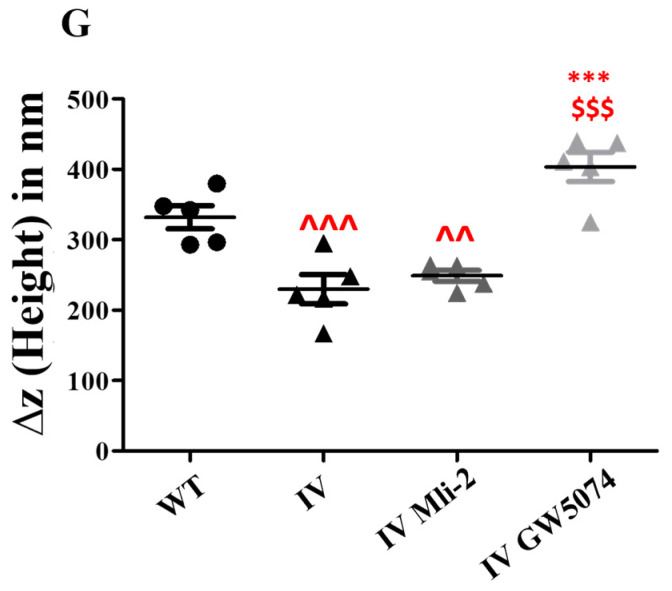 Figure 21