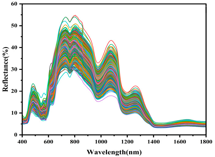 Figure 2