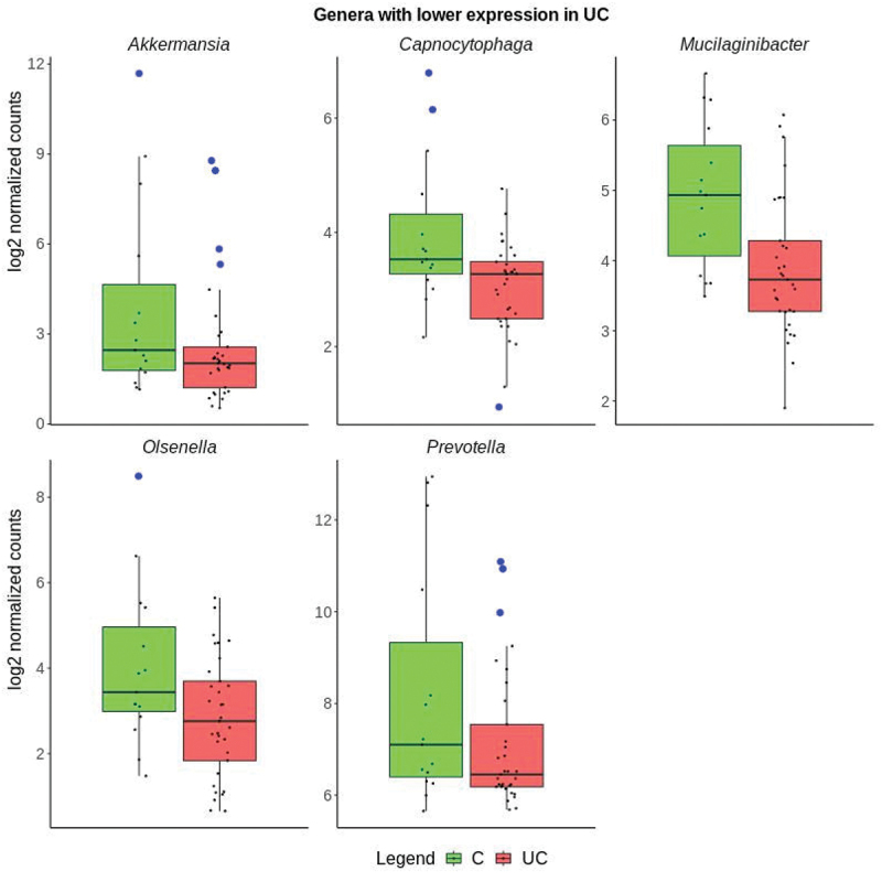 Figure 11