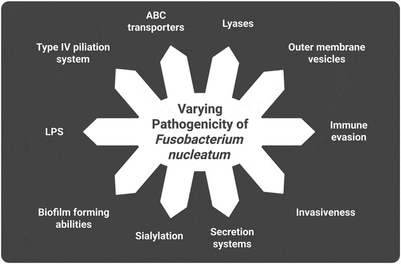 Figure 12