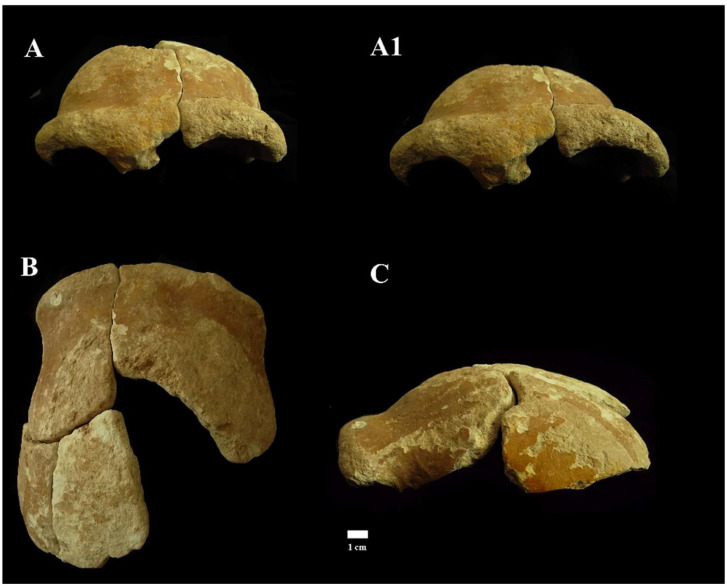 Figure 10