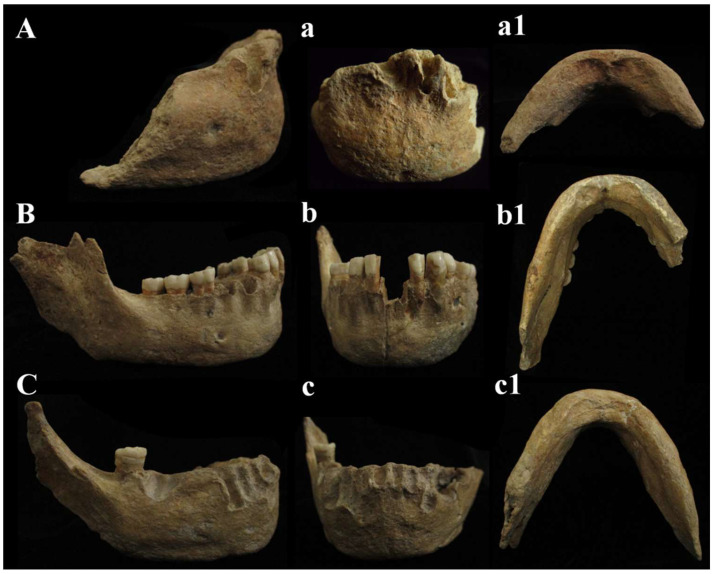 Figure 14