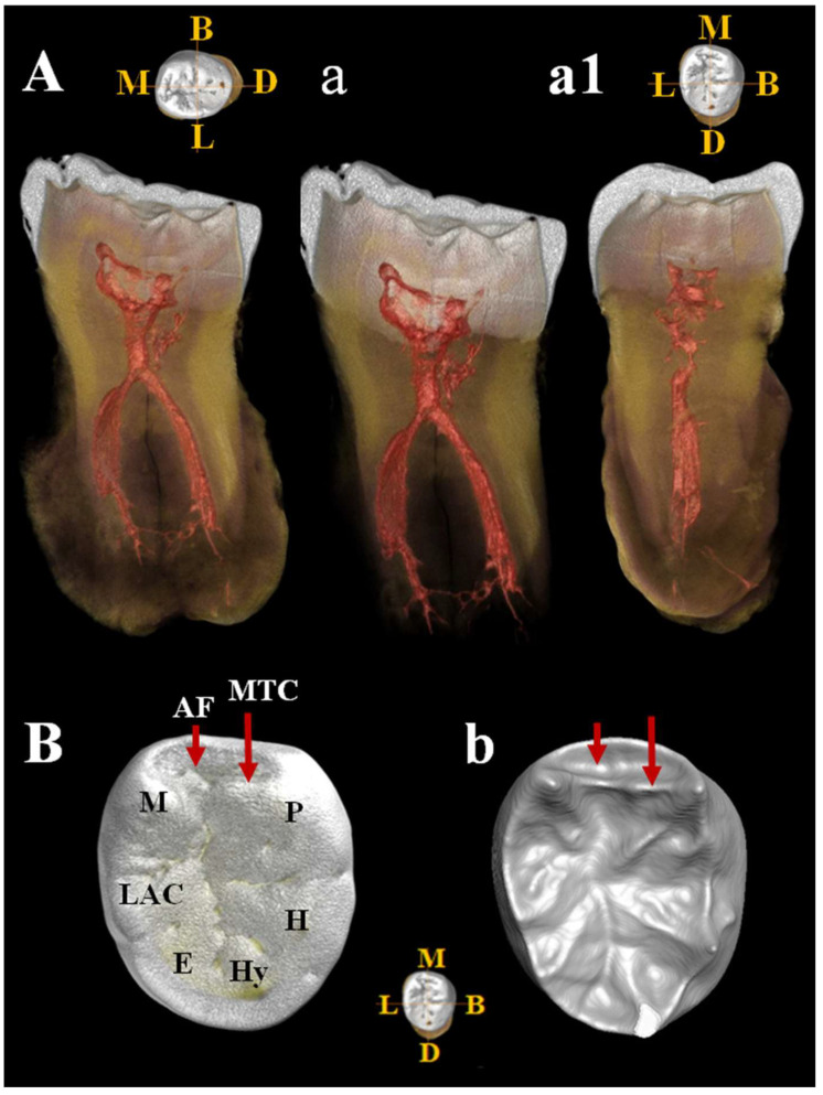 Figure 15