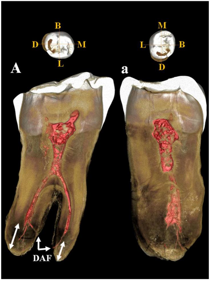 Figure 16