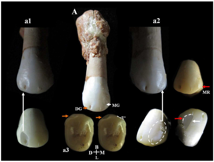 Figure 17