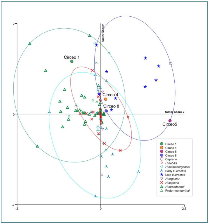 Figure 20