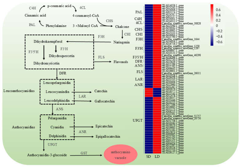 Figure 7