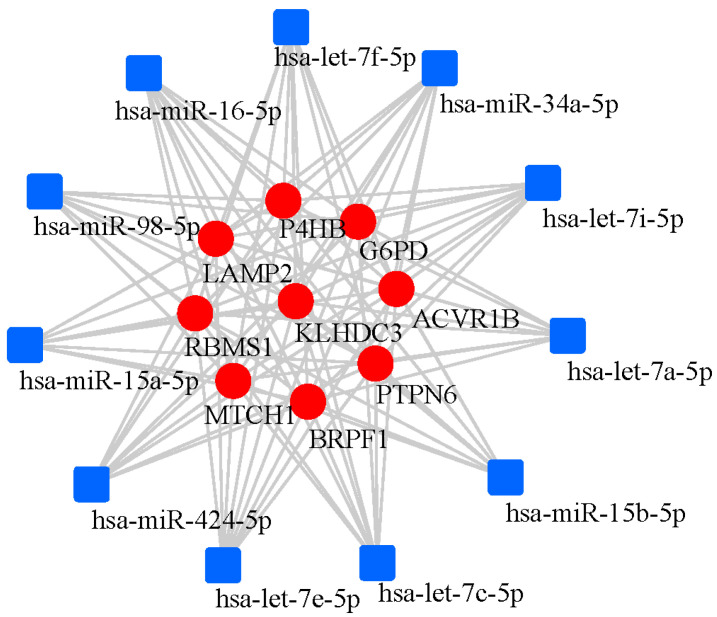 Figure 10