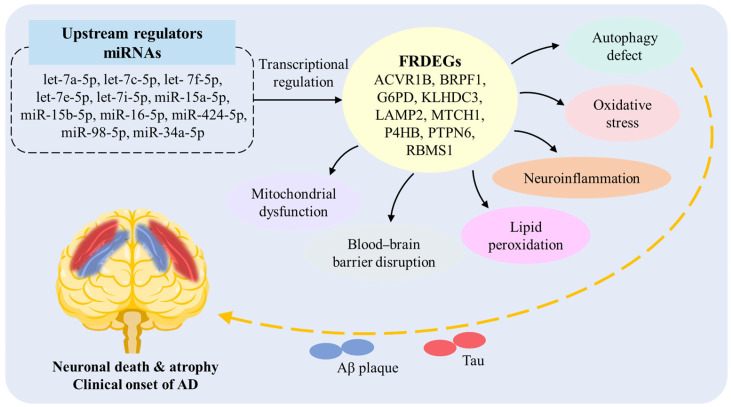 Figure 11