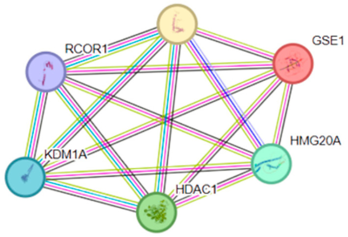 Figure 7
