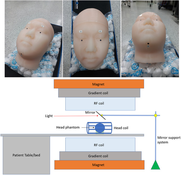 FIGURE 1