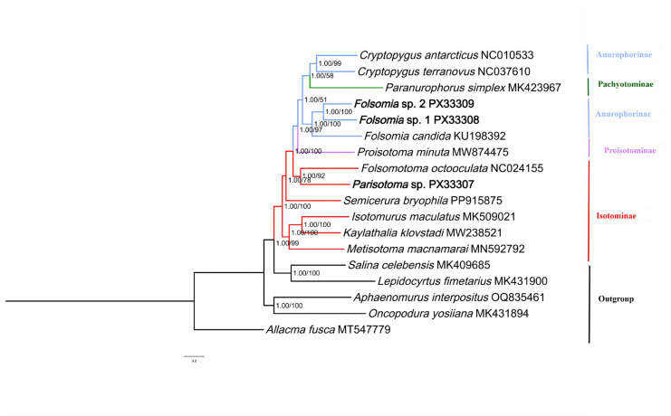 Figure 2