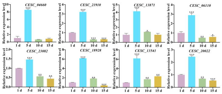 Figure 7