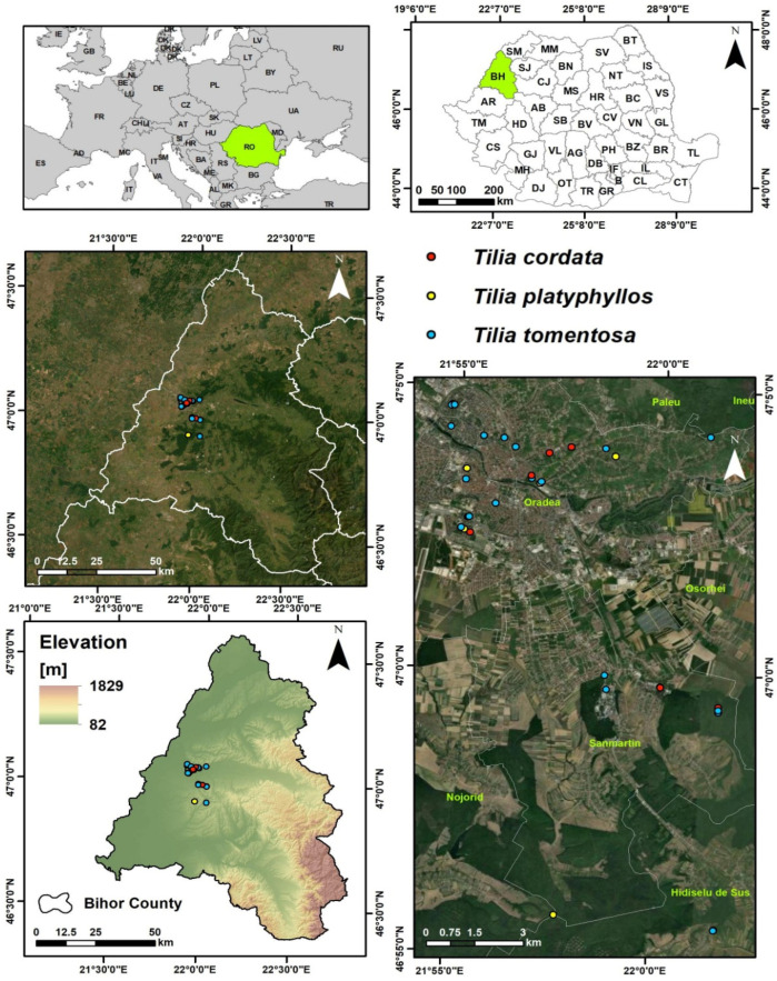 Figure 14