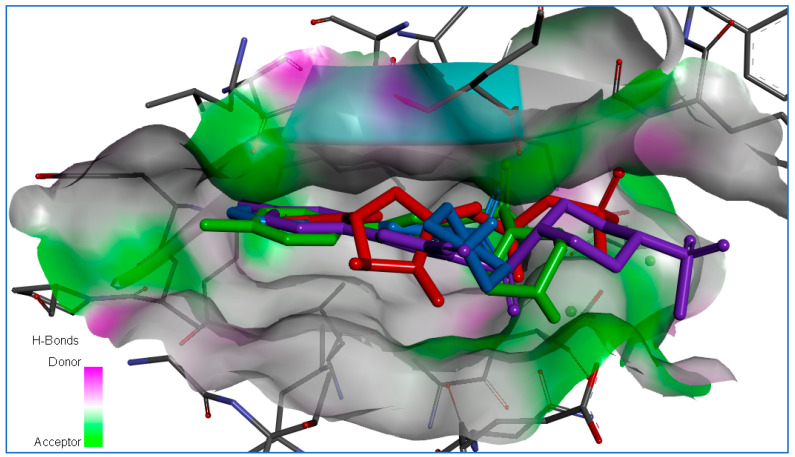 Figure 12