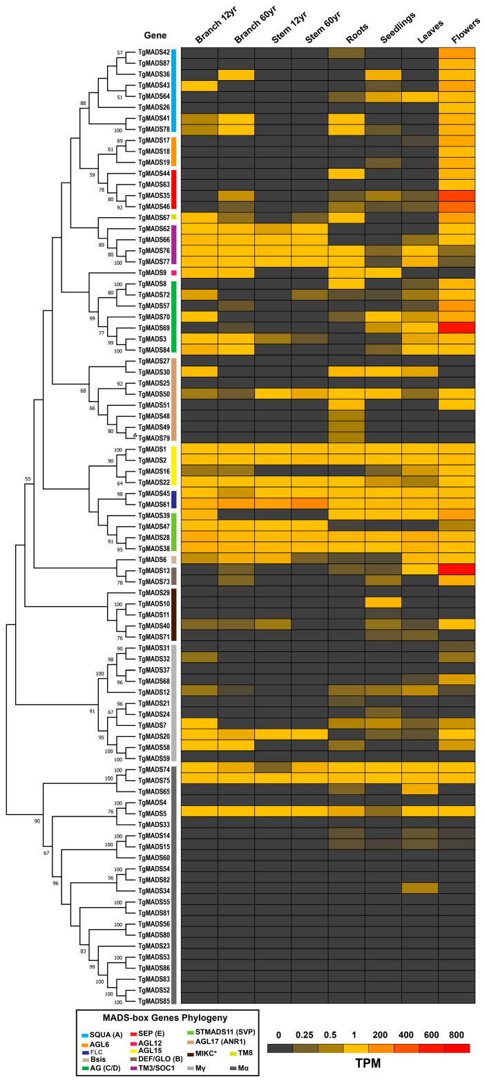 Figure 6
