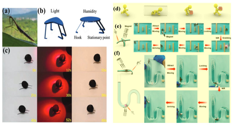 Figure 13