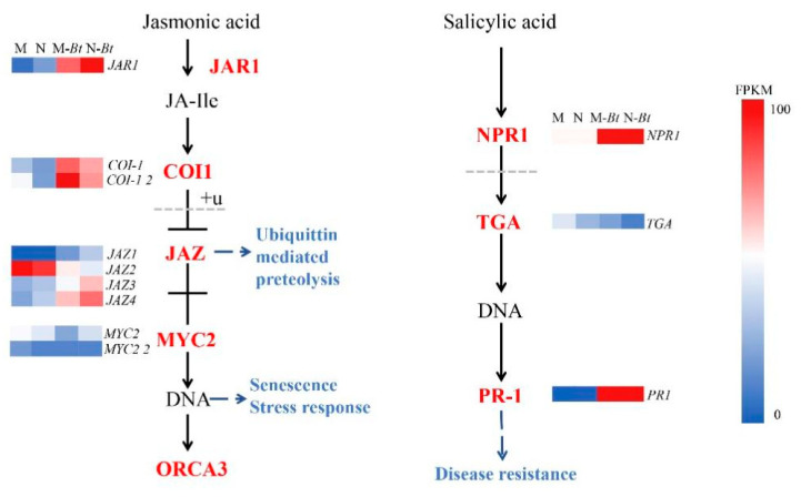 Figure 10