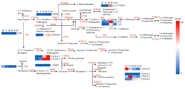 Figure 11