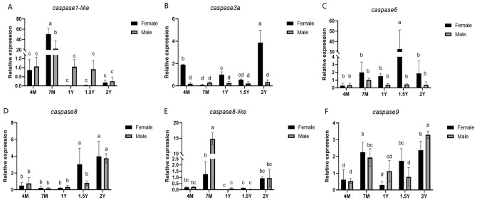 Figure 5