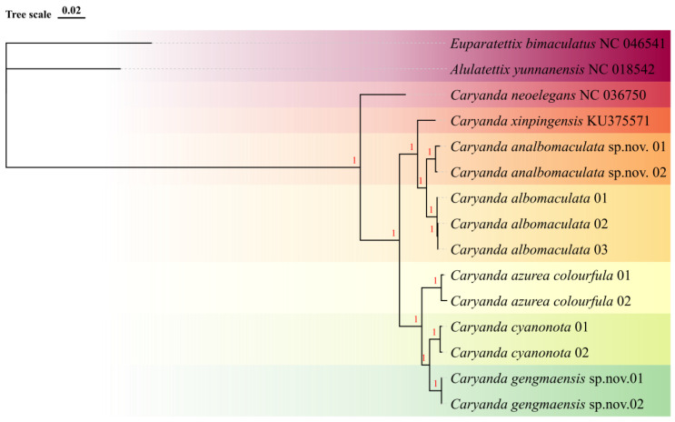 Figure 1