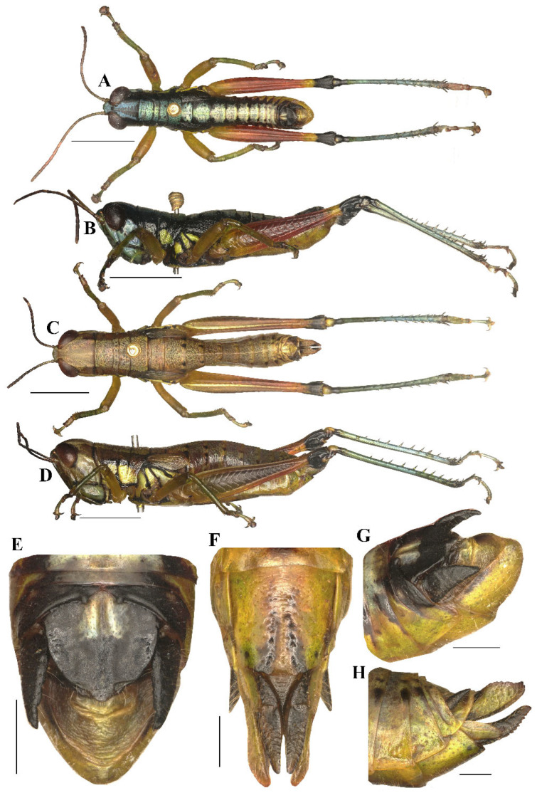 Figure 4