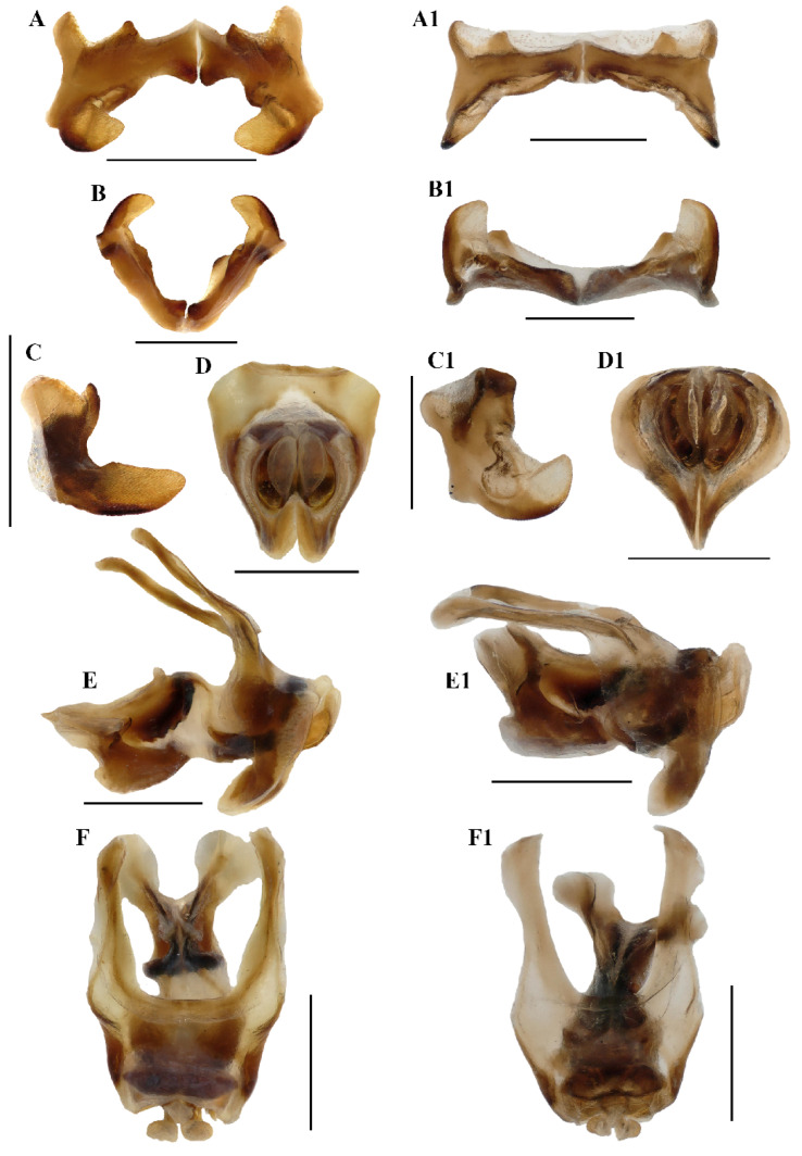 Figure 9