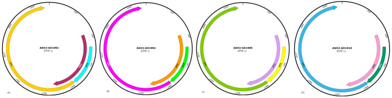Figure 2