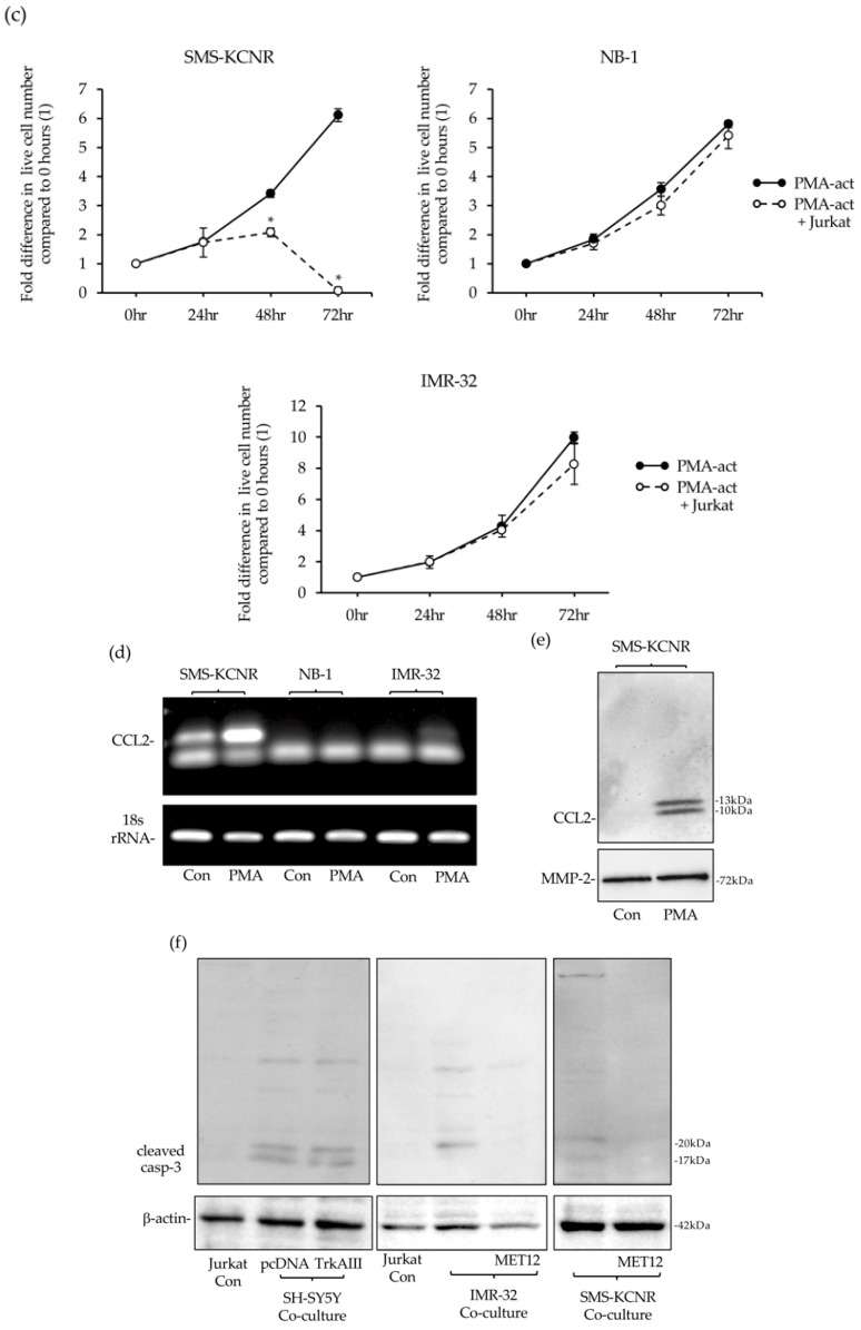 Figure 21