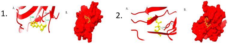 Figure 8