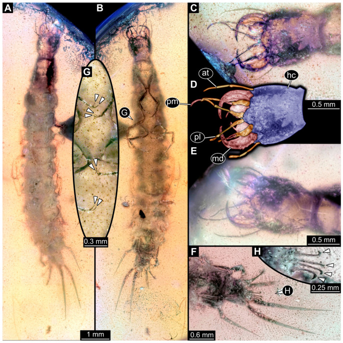Figure 11