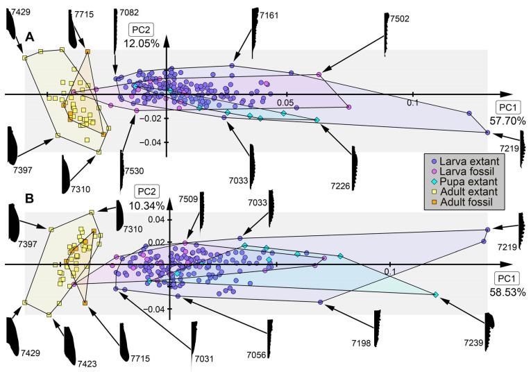 Figure 17