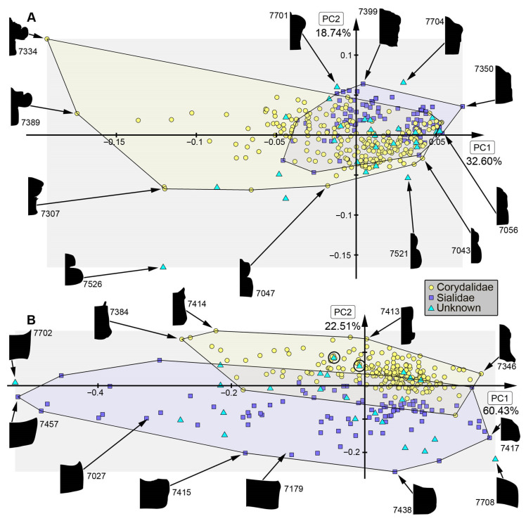 Figure 18