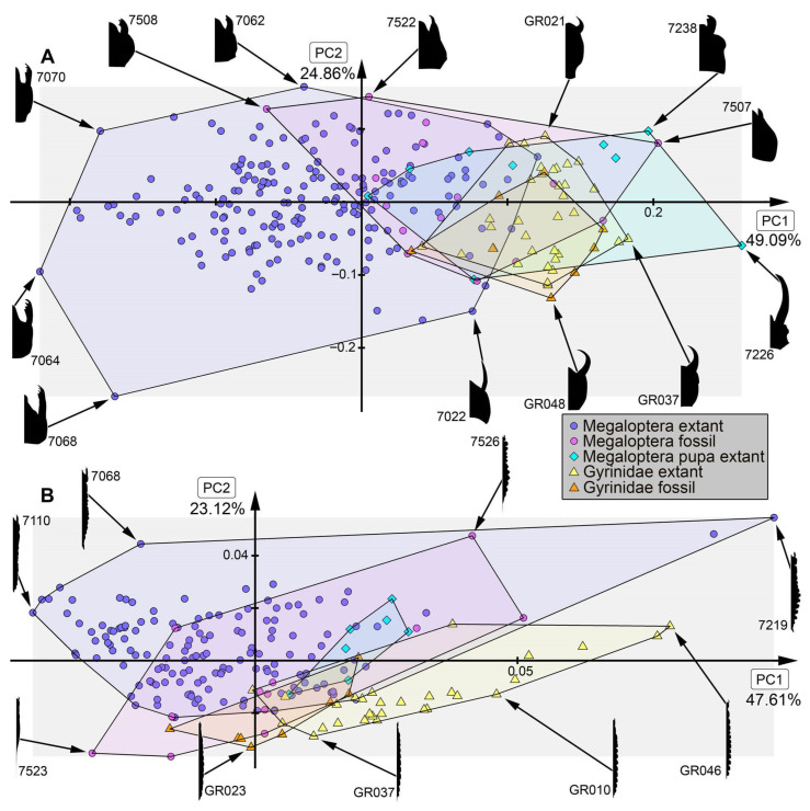 Figure 19
