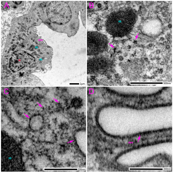 Figure 10