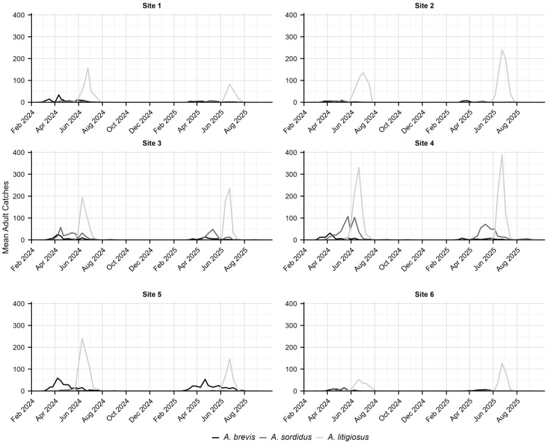 Figure 6