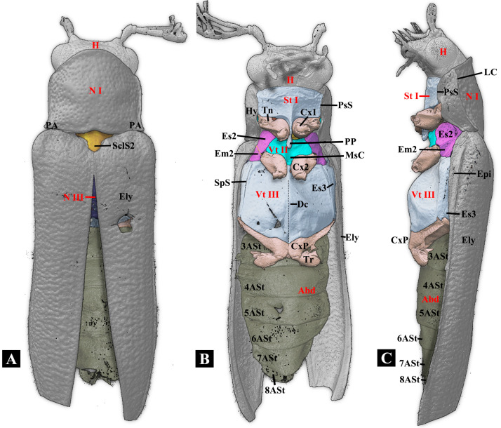 Figure 2