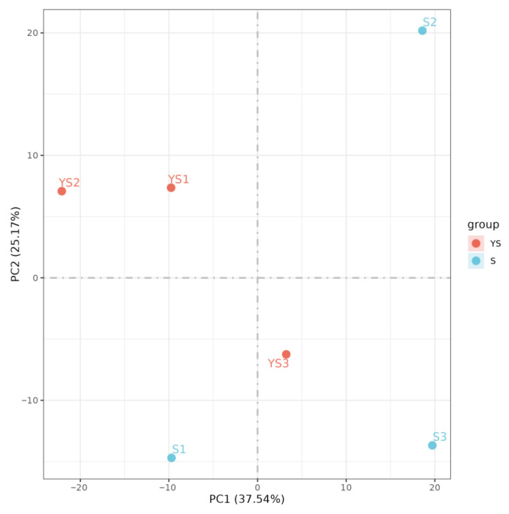 Figure 10