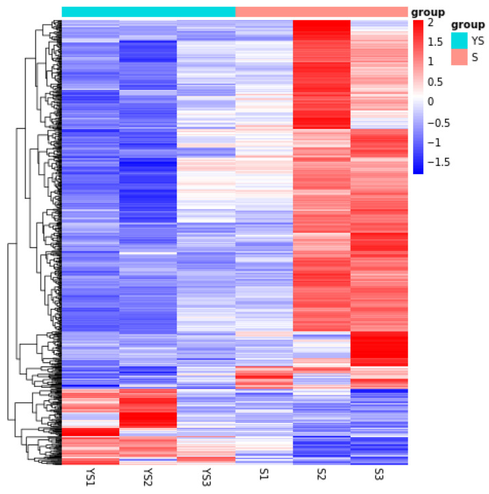 Figure 13