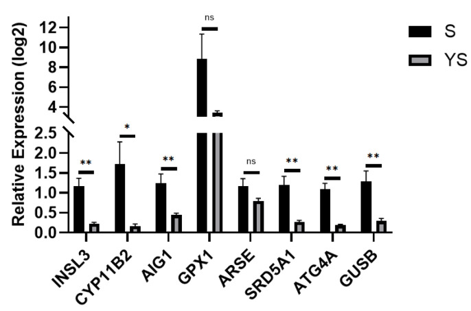 Figure 16