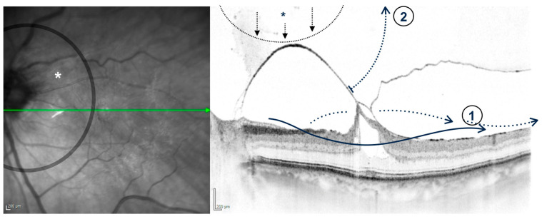 Figure 7