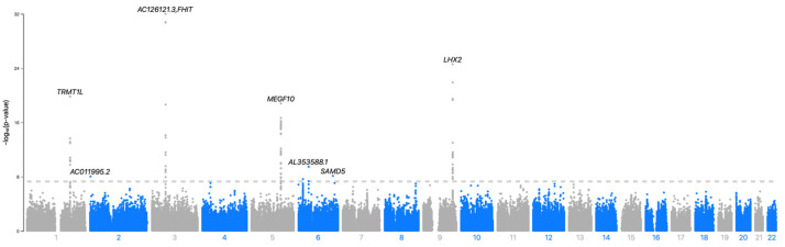 Figure 1
