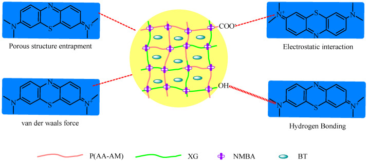Figure 11