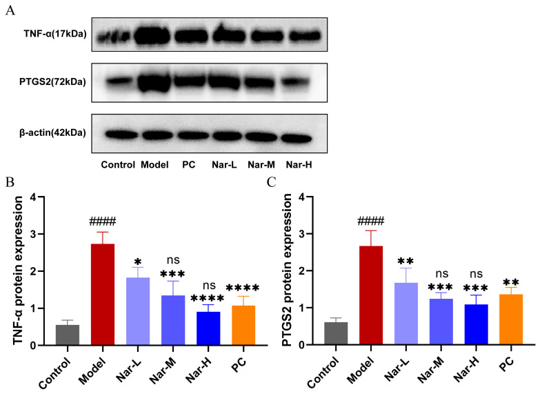 Figure 13